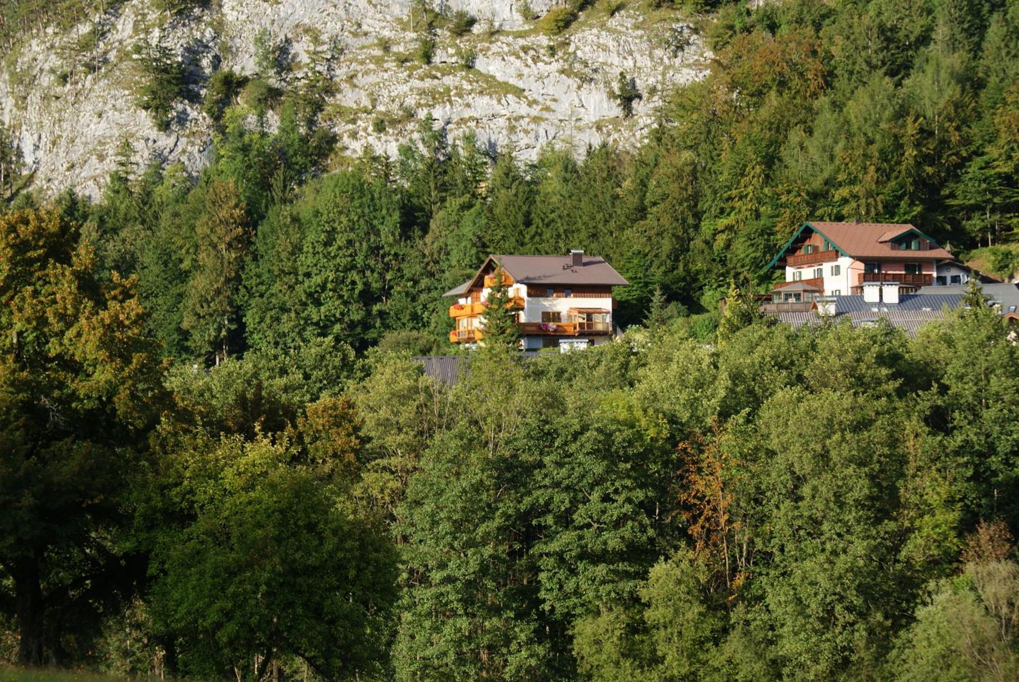 Haus Meissnitzer Fuschl am See Εξωτερικό φωτογραφία